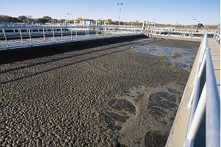 【干貨】泥齡導致的氨氮超標？那這種情況該如何處理呢？